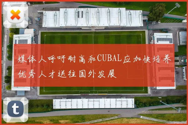 媒体人呼吁耐高和CUBAL应加快培养优秀人才送往国外发展