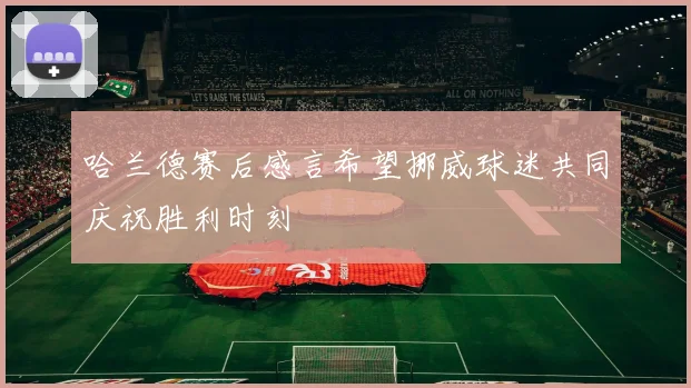 哈兰德赛后感言希望挪威球迷共同庆祝胜利时刻