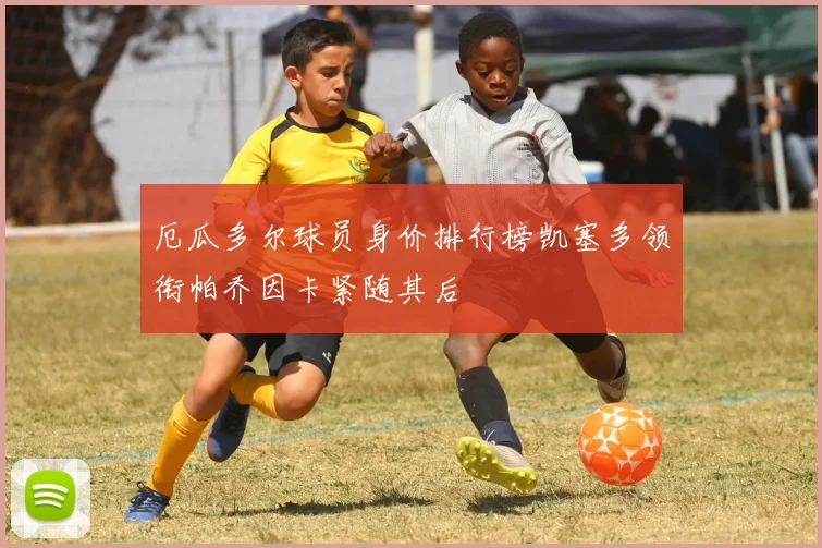 厄瓜多尔球员身价排行榜凯塞多领衔帕乔因卡紧随其后